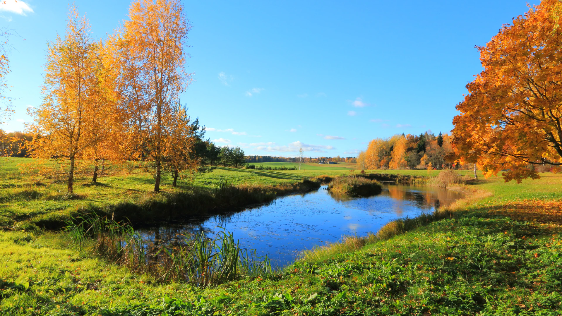 Pond Excavation Services In Alberta | Versatile Renovations